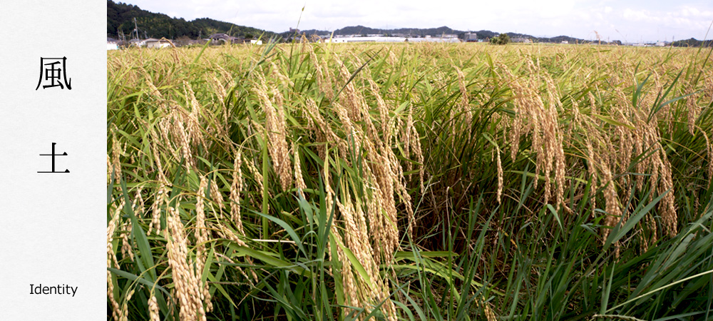 風土