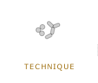 伝統と進化の技